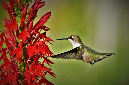 DSC_7805 (2) - Copy - Copy