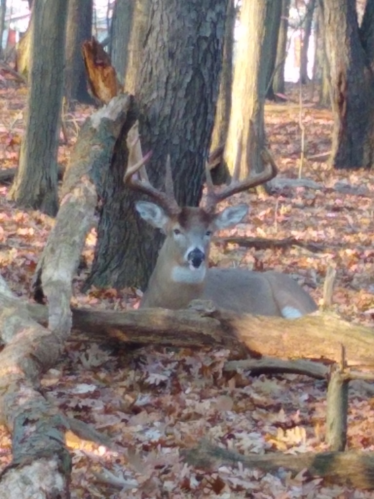 IMG_20191221_100904045