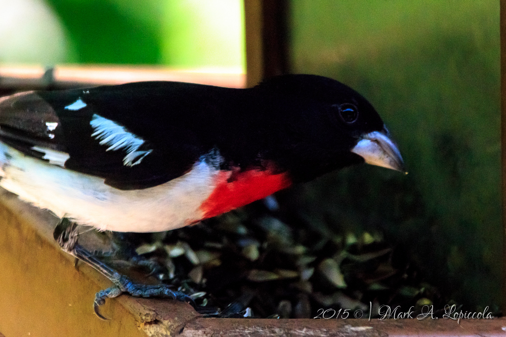 Seven Ponds Photo Expo 2015-16