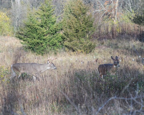 2020-11-07 Stage A7II Canon 100-35 DSC07210 8x10