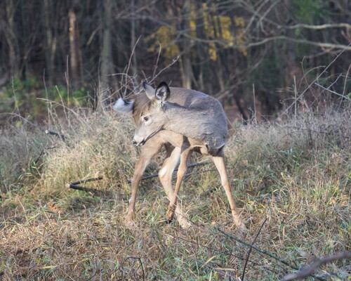 2020-11-07 Stage A7II Canon 100-35 DSC07198 8x10