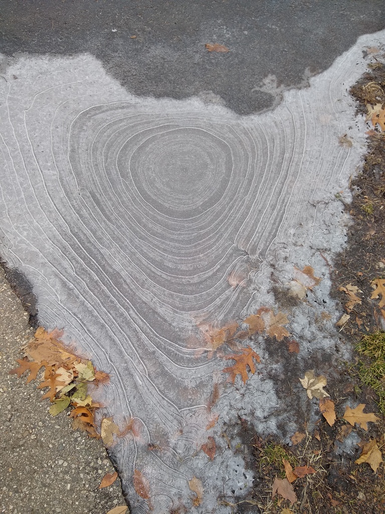 IMG_20190102_093455331